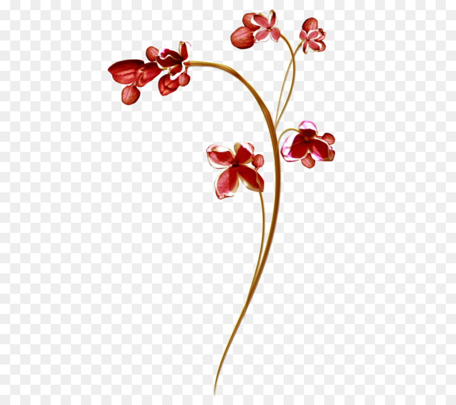 Fleur，Les Fleurs Coupées PNG