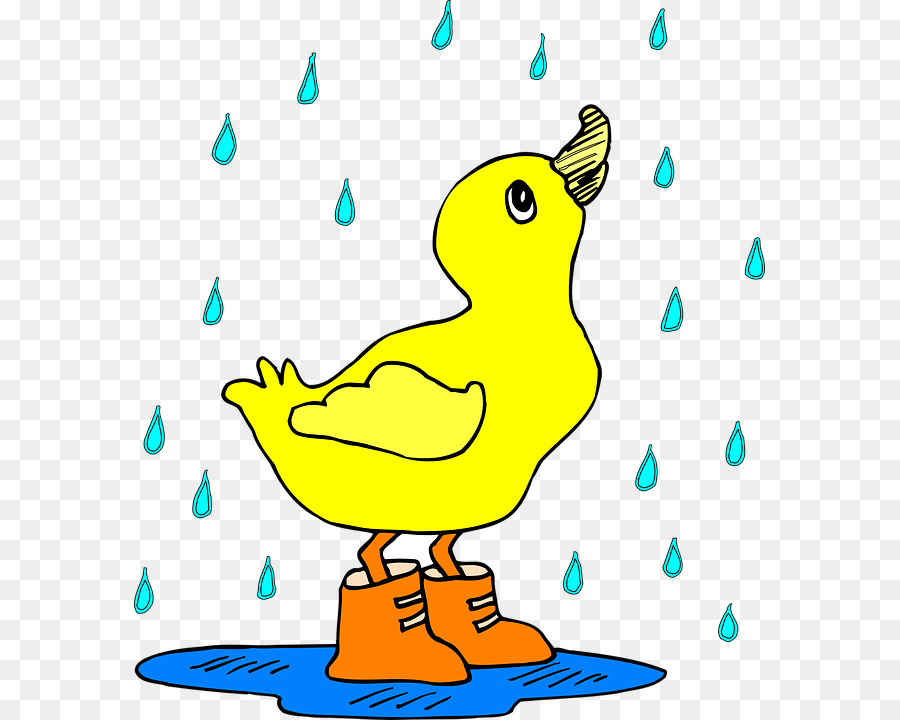 Canard，Pluie PNG