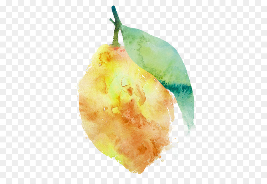 Aquarelle Citron，Fruit PNG