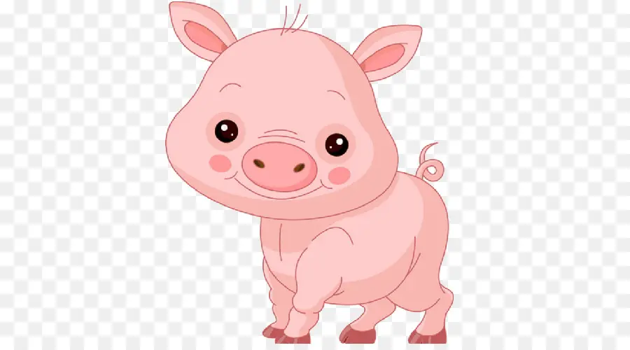 Cochon，Rose PNG