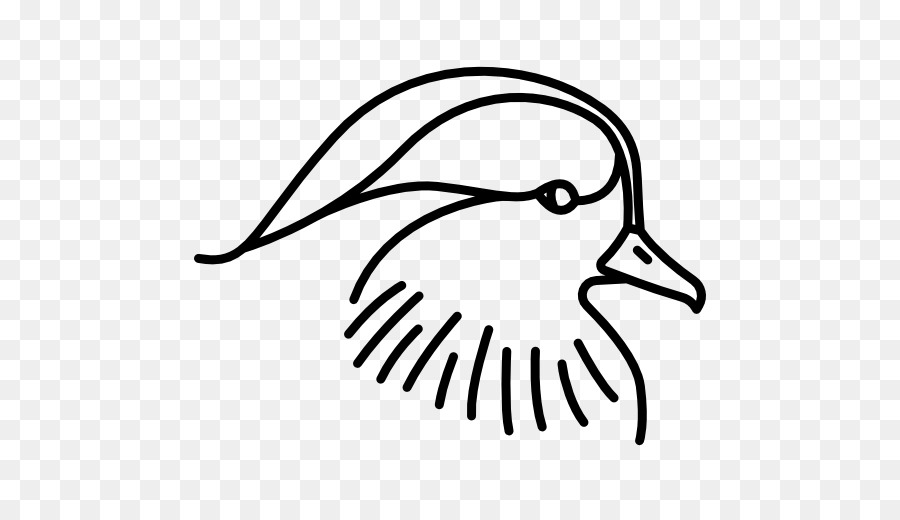 Canard，Oiseau PNG