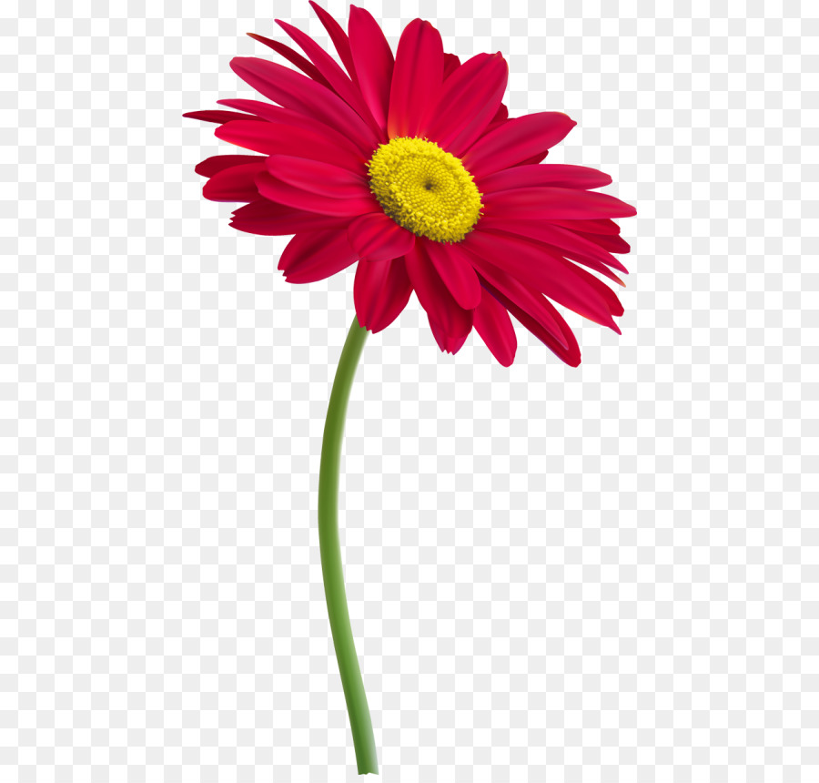 Fleur Rose，Tige PNG