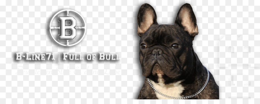 Race De Chien，Bouledogue PNG