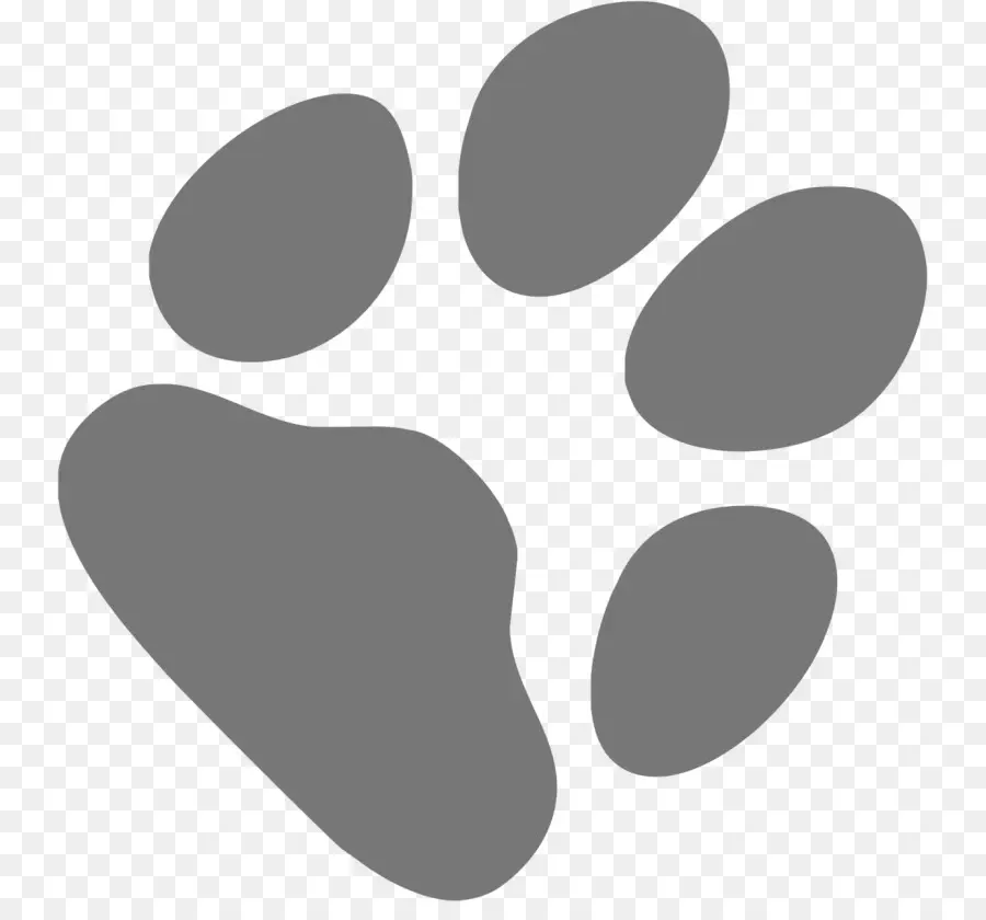 Chat，Patte PNG