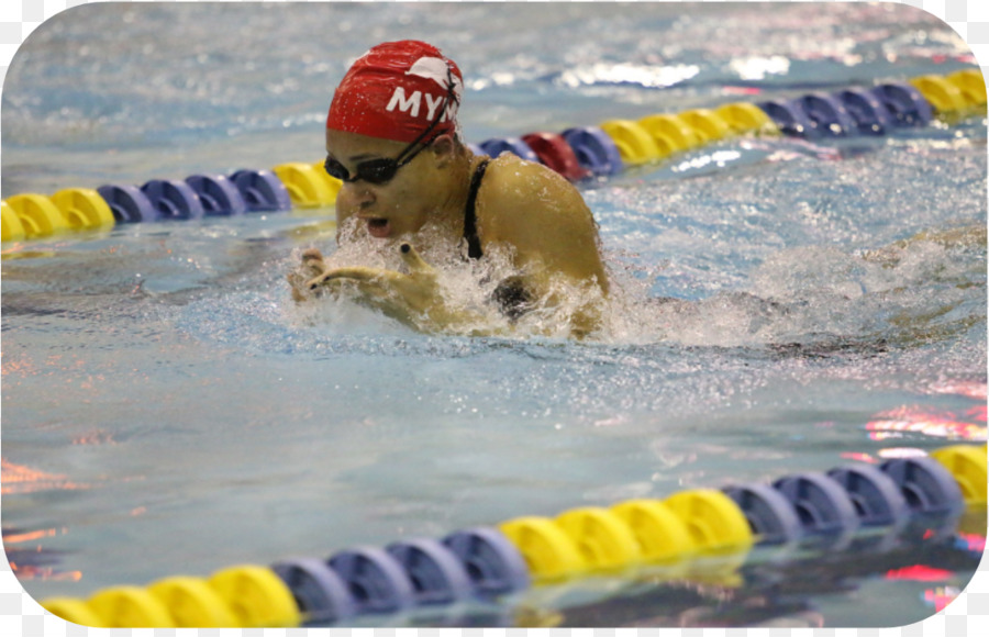 Medley De Natation，Nage Libre PNG