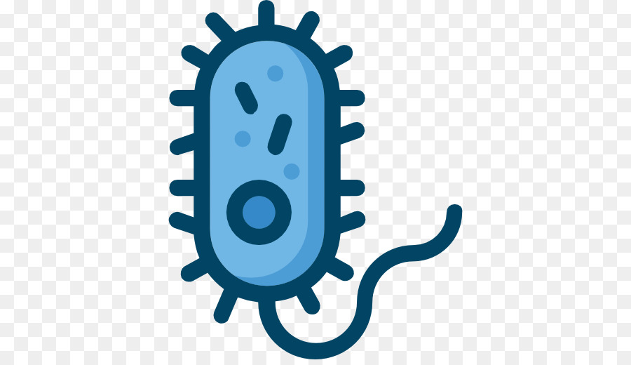 les bacteries ordinateur icones micro organisme png les bacteries ordinateur icones micro organisme transparentes png gratuit micro organisme png