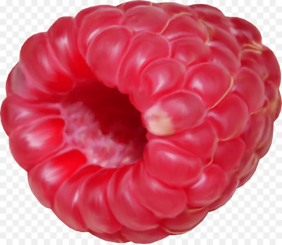 Framboise，Rouge Framboise PNG