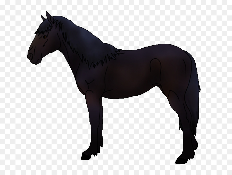 Cheval，Équin PNG