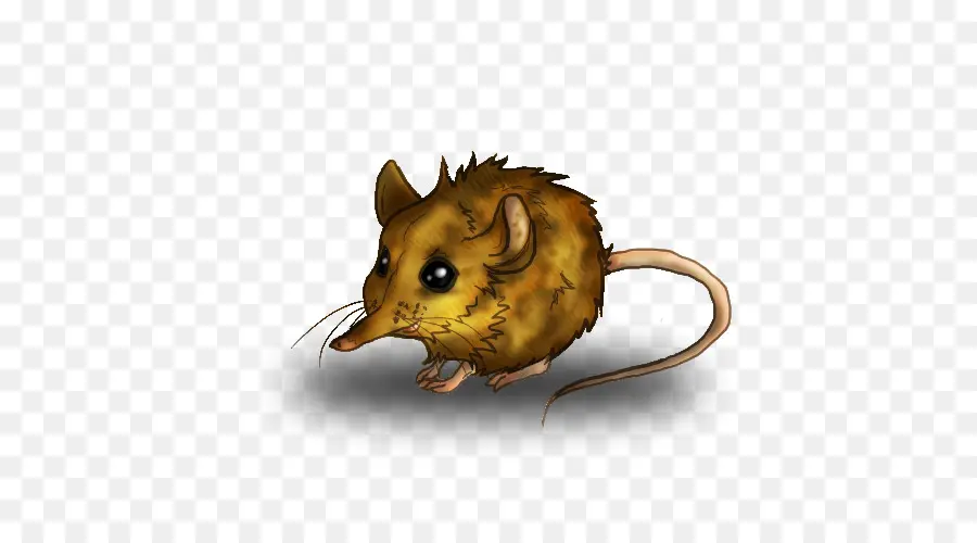 Rat De Dessin Animé，Rongeur PNG