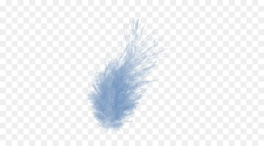 Plume， PNG