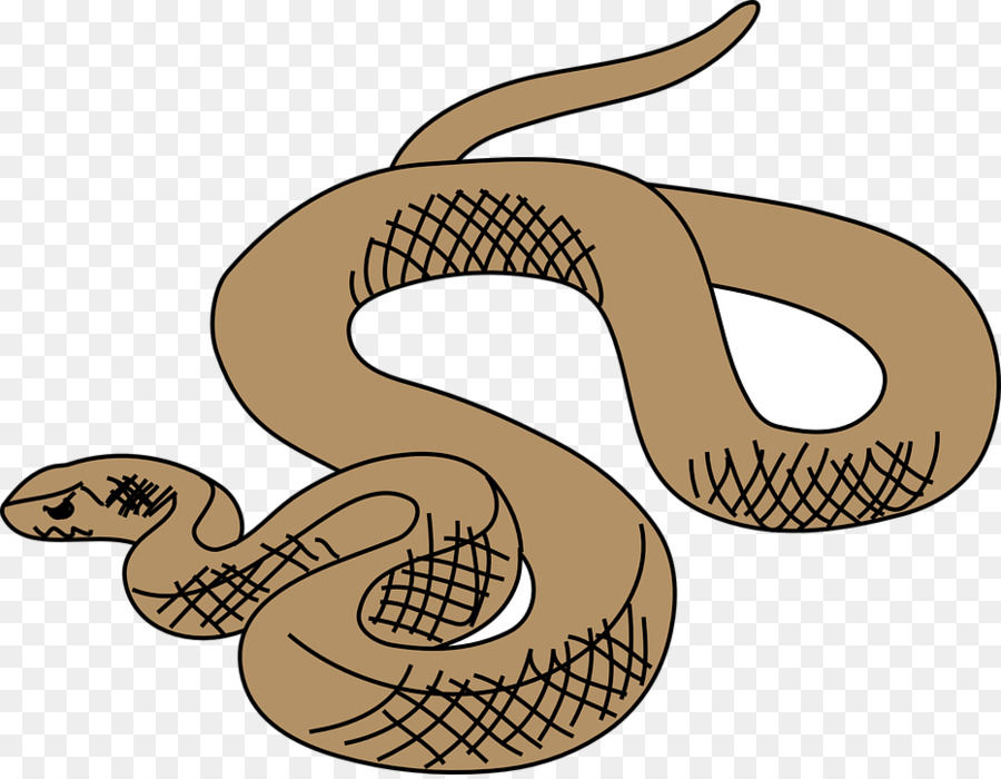 Serpent，Balle Python PNG