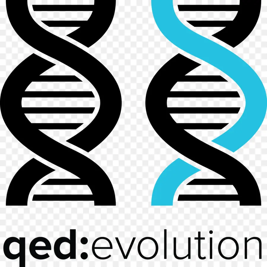 Hélice D'adn，évolution PNG