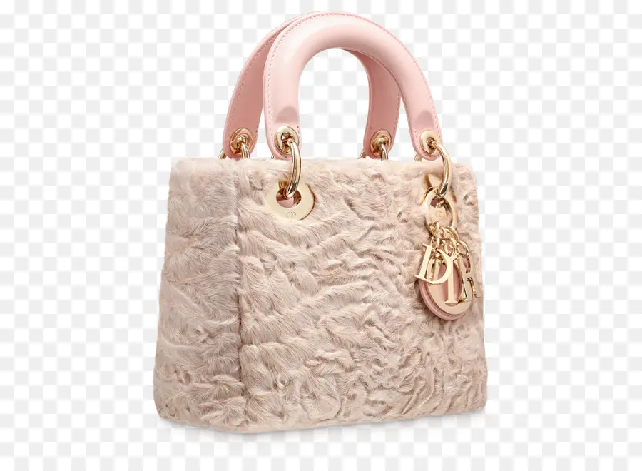 Sac à Main，Christian Dior Se PNG