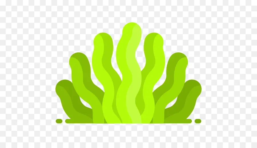 Les Algues，Ordinateur Icônes PNG