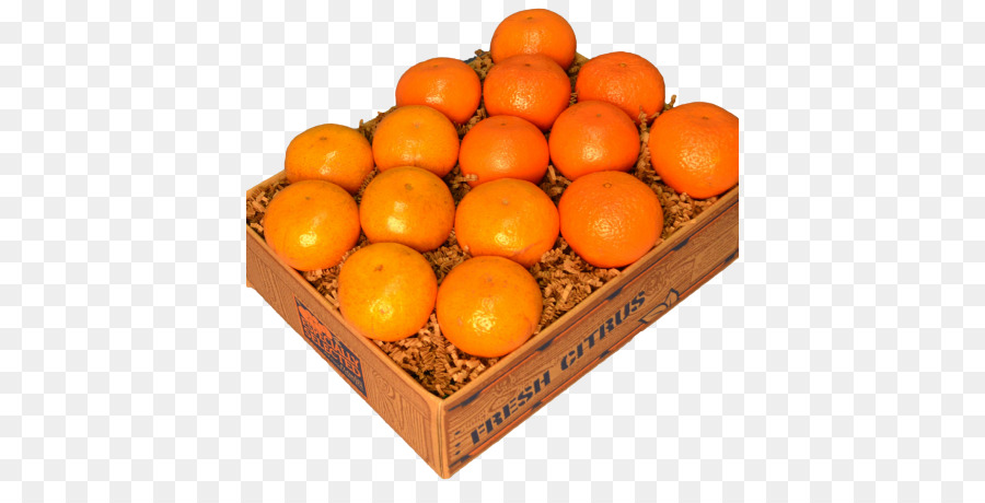 Oranges，Agrumes PNG