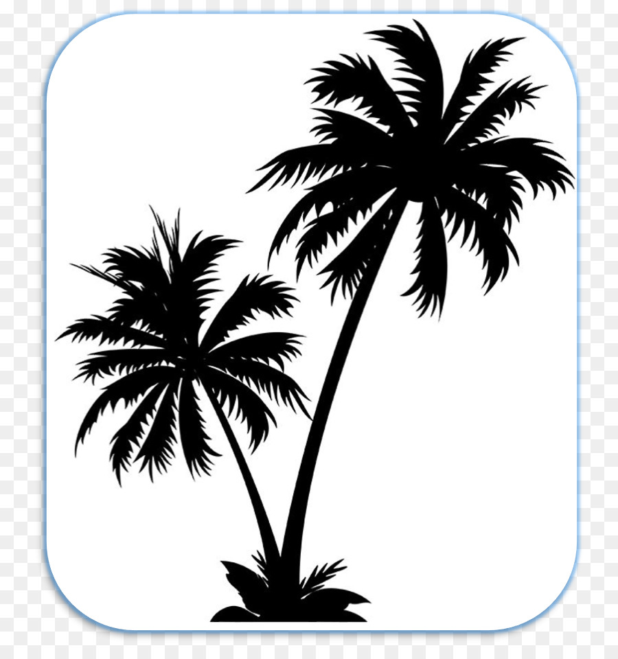 Arecaceae，Silhouette PNG