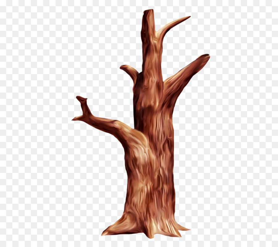 Arbre，Bois PNG