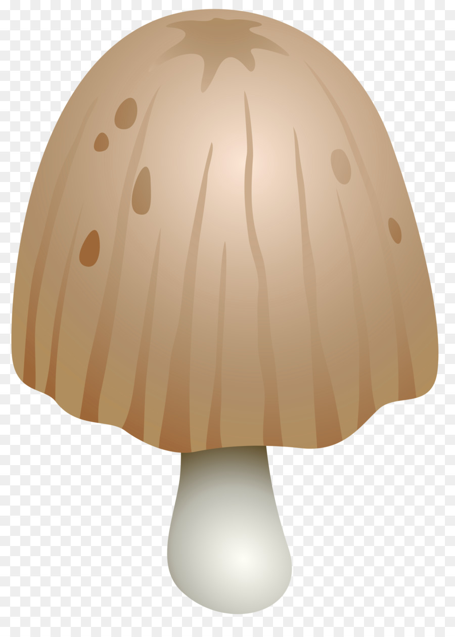 Champignons，Shaggy Encre Cap PNG