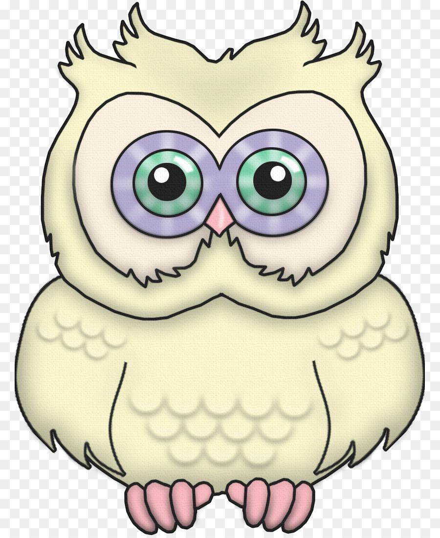 Chouette De Dessin Animé，Hibou PNG