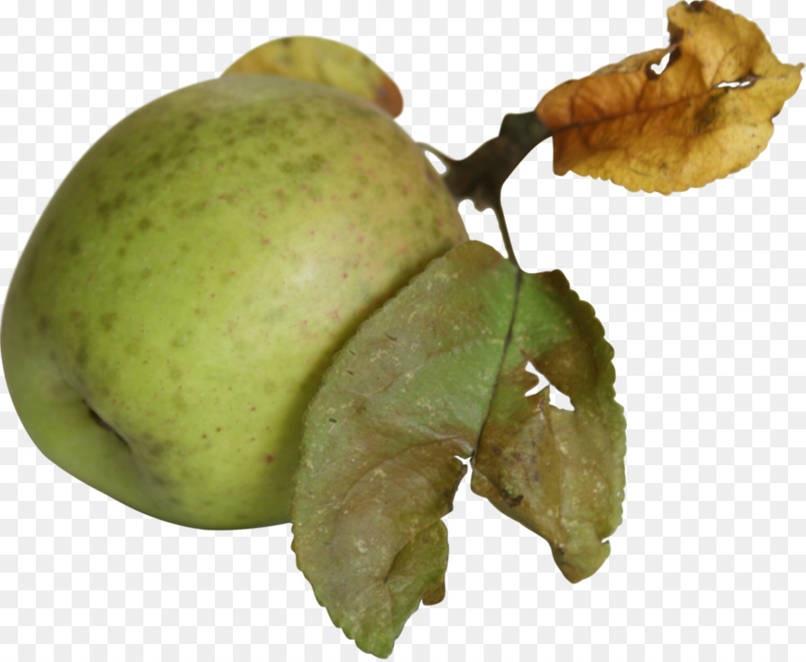 Pomme，Fruit PNG