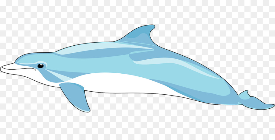 Dauphins De Dessin Animé，Marin PNG