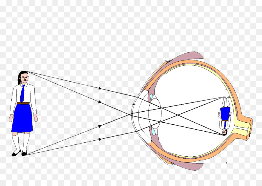 Les Yeux，Diagramme PNG