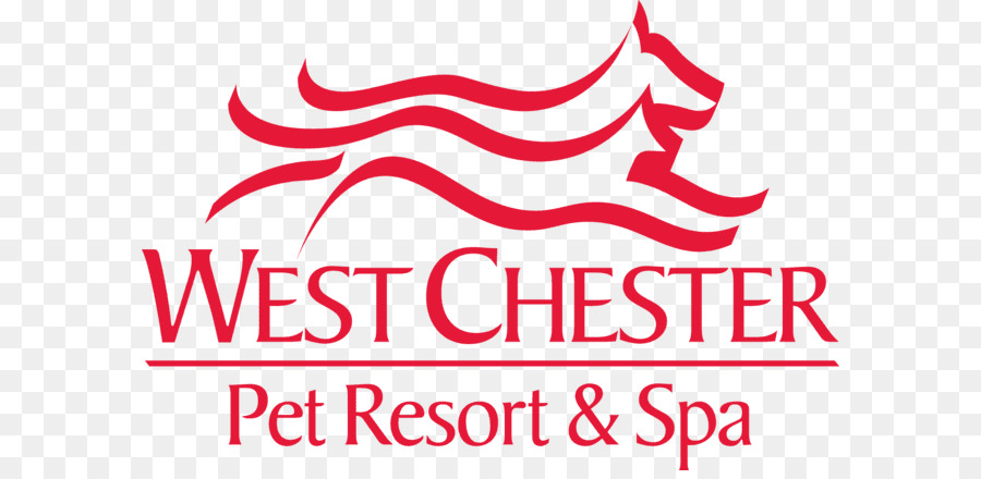 Chien，West Chester Pet Resort And Spa PNG