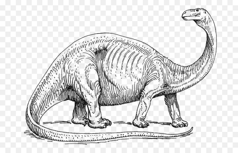 Dinosaure，Préhistorique PNG