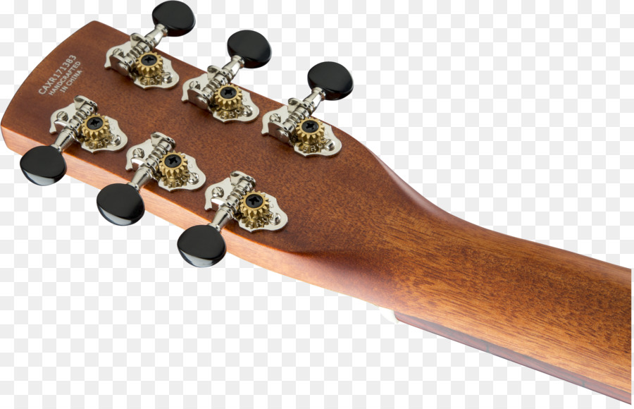 Tête De Guitare，Cordes PNG