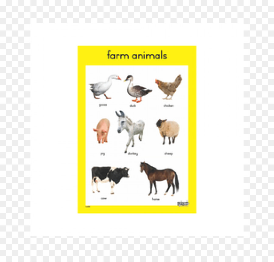 Animal De Compagnie，La Ferme Des Animaux PNG