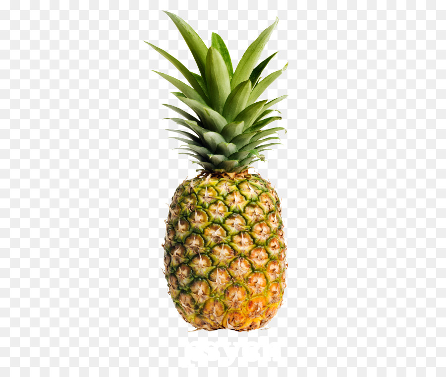 Ananas，Tropical PNG