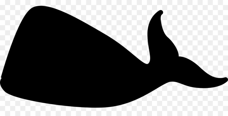 Baleine，Baleine Bleue PNG