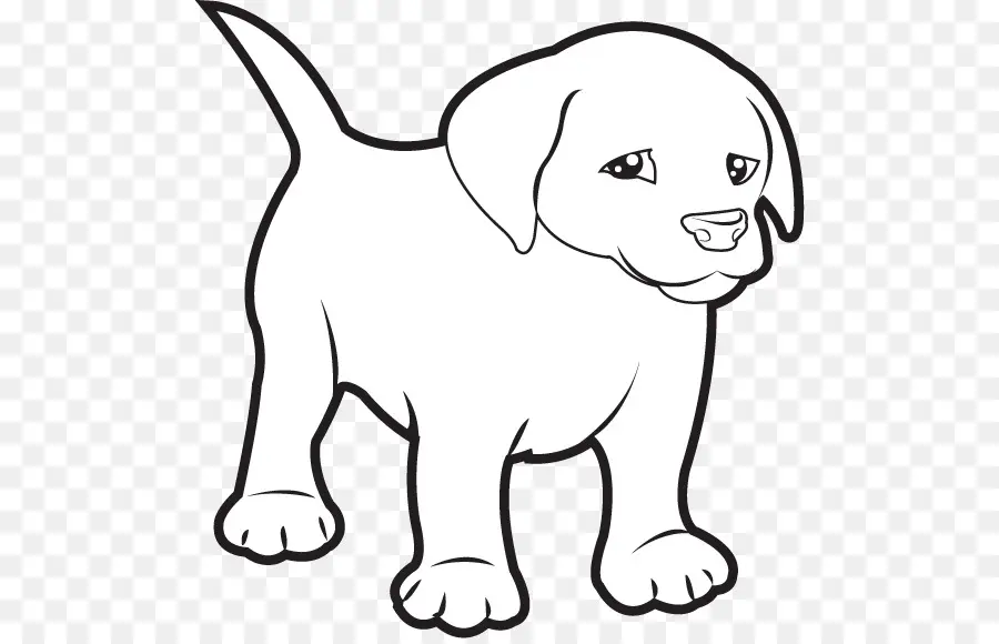 Chiot Mignon，Chien PNG