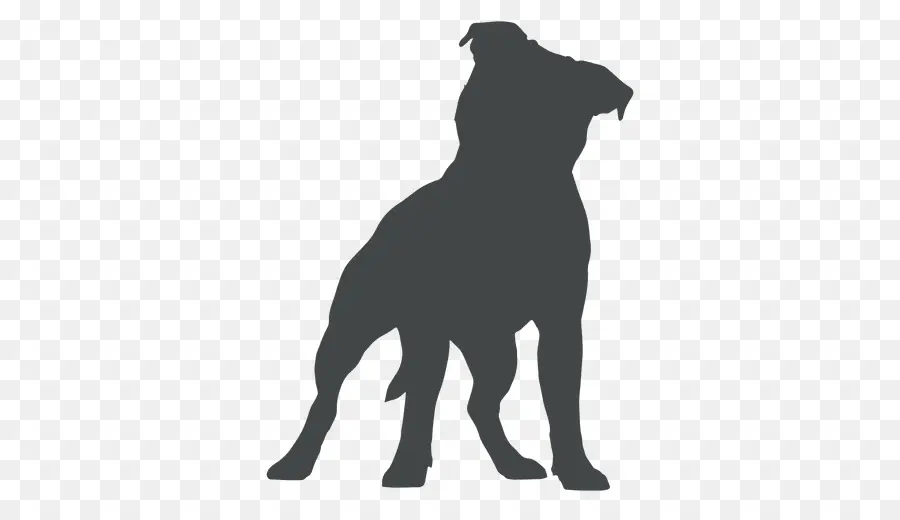 Le Staffordshire Bull Terrier，Bull Terrier PNG
