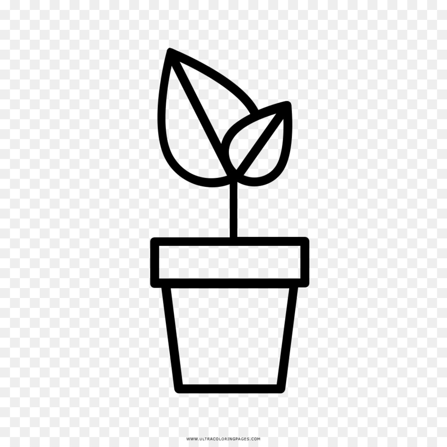 Fleur En Pot，Pot à Fleurs PNG