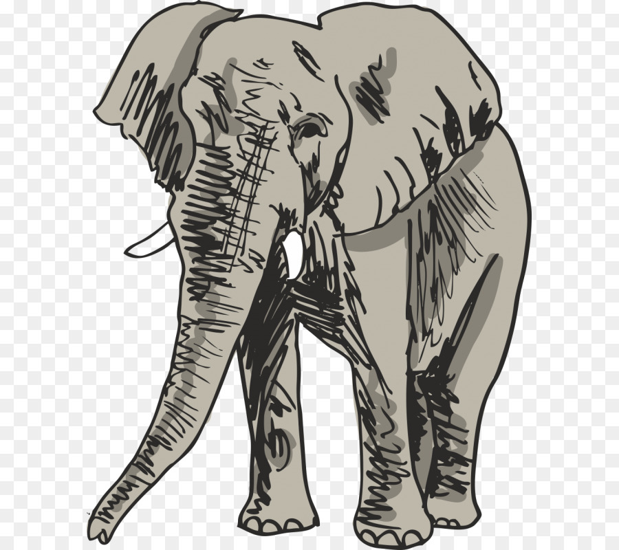 Dessin，L éléphant PNG