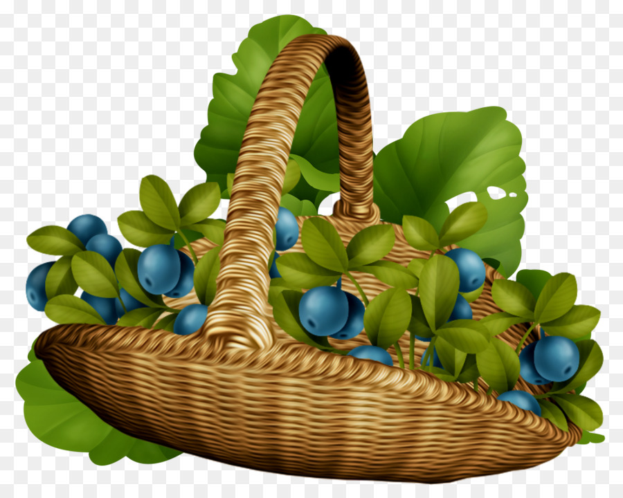 Panier，Plante PNG