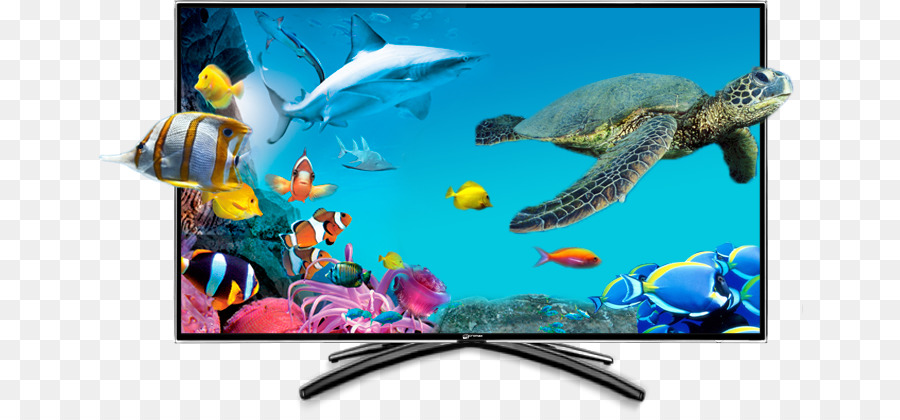 Télévision 3d Avec Créatures Marines，Tv PNG