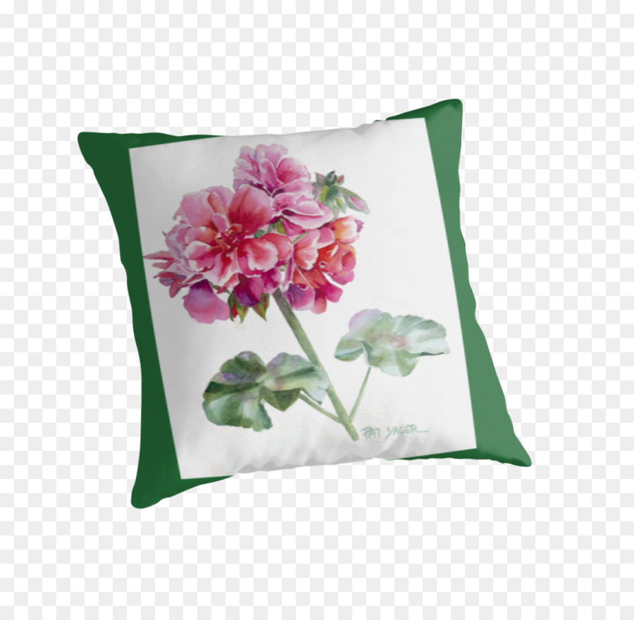 Les Coussins，Coussin PNG