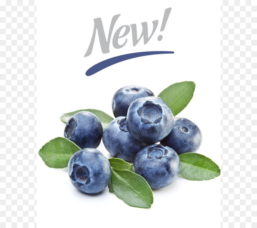 Bleuets，Blueberry Corymbosum PNG