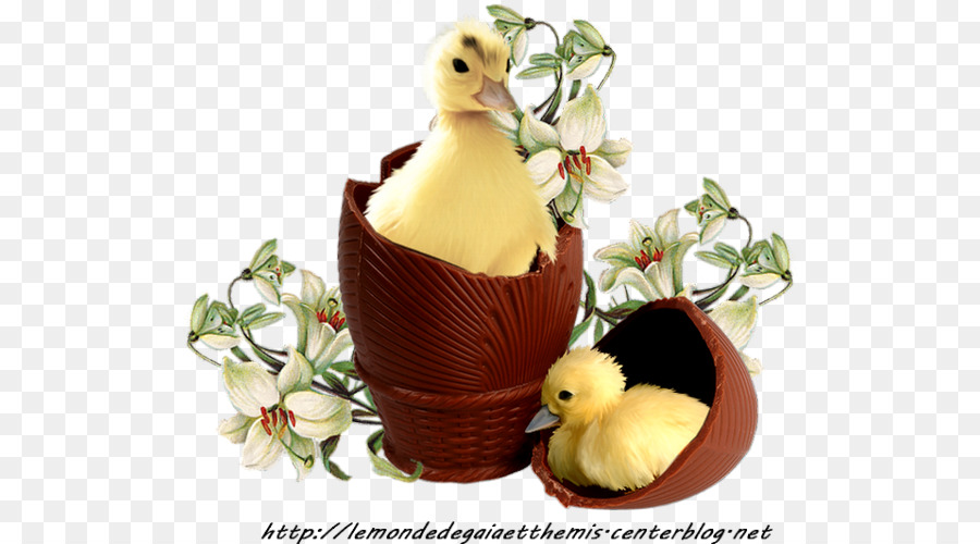 Canard，Lapin De Pâques PNG