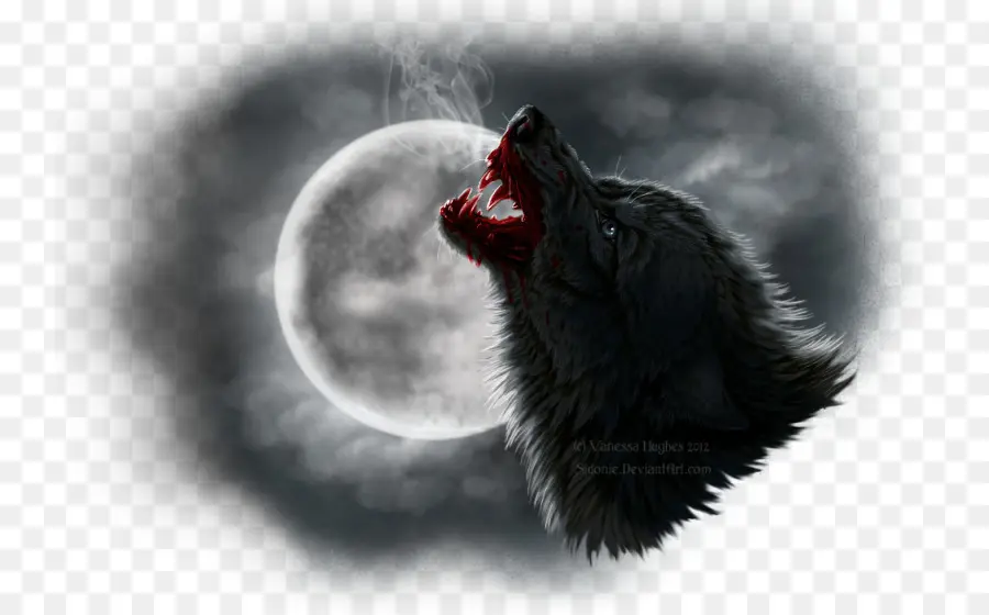 Loup，Lune PNG