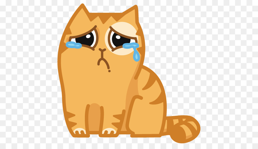 Chat Qui Pleure，Triste PNG