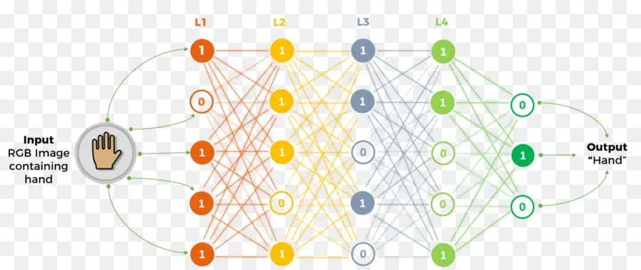 Réseau Neuronal，Ia PNG