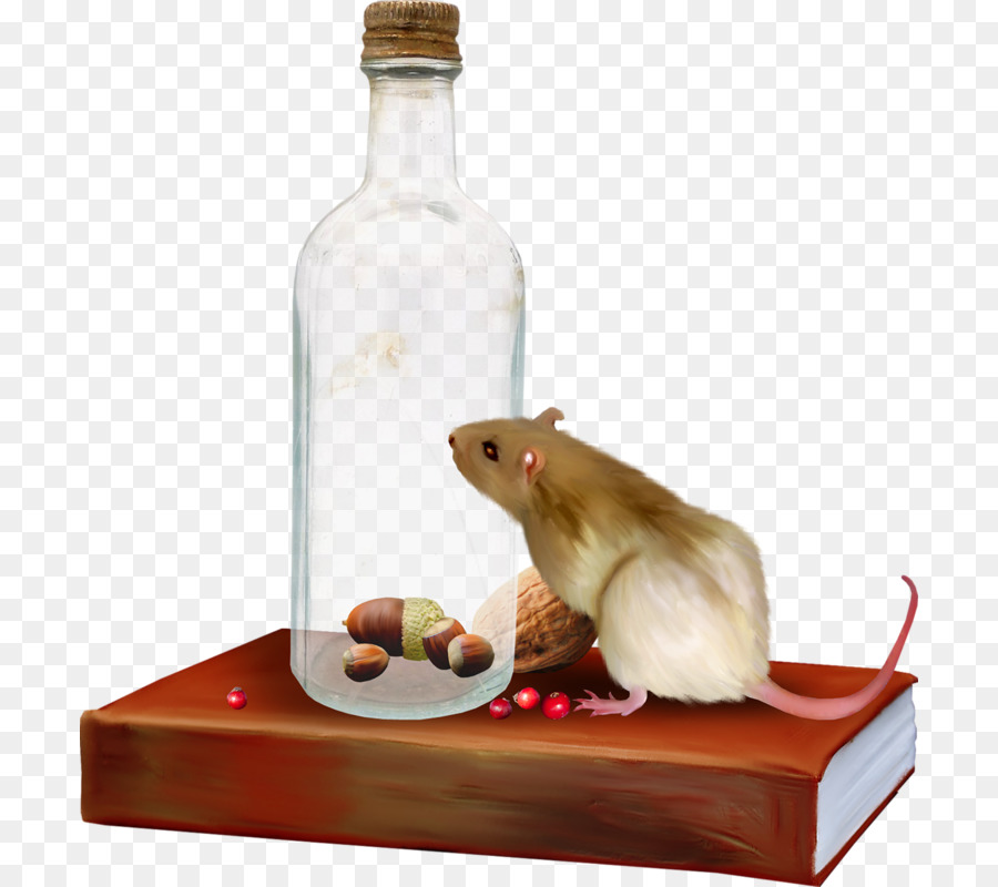 Rat，Souris D Ordinateur PNG