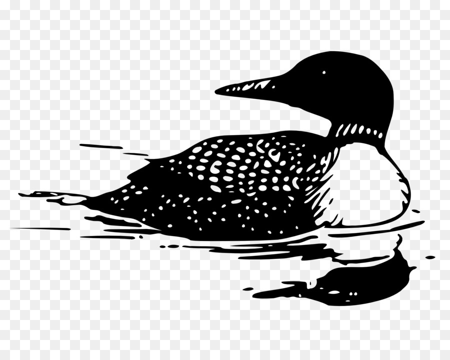 Canard，Eau PNG