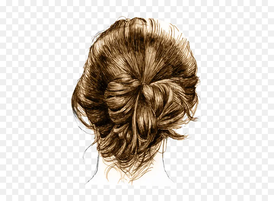 Dessin，Chignon PNG