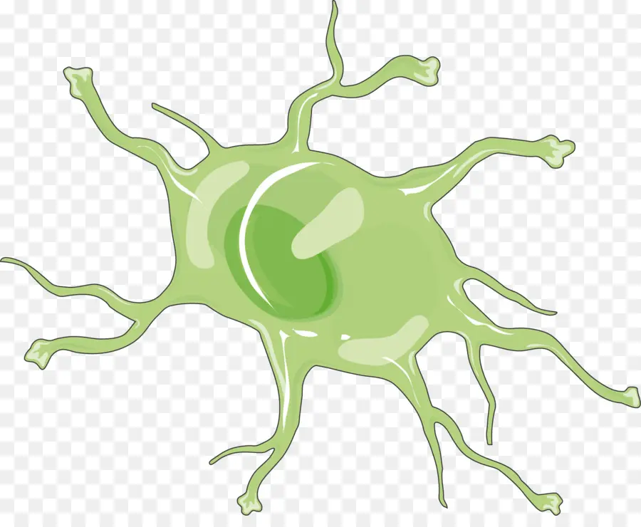 Cellule Verte，Cellule PNG