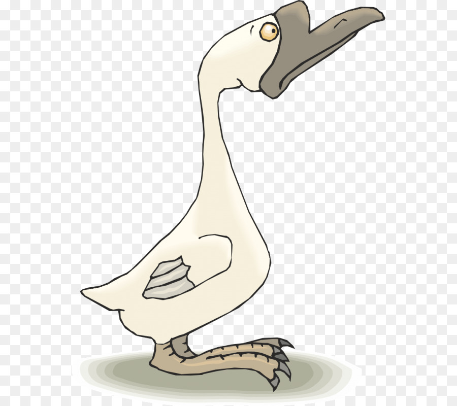 Canard，Bec PNG