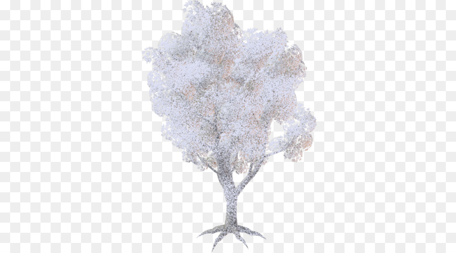 Arbre Blanc，Nature PNG